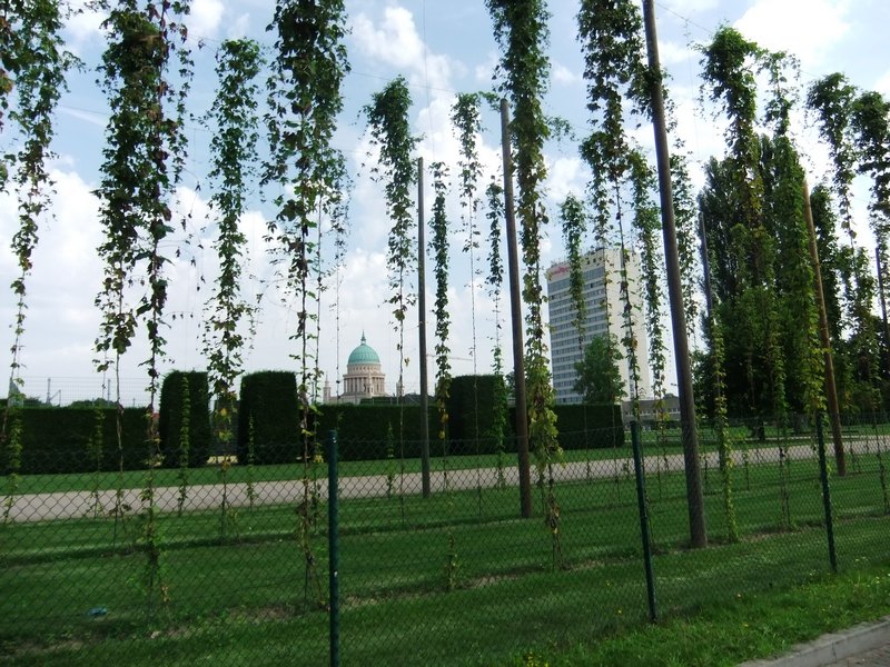 Deetz 2012 077.jpg